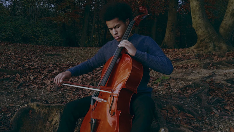 The Swan – Sheku Kanneh-Mason